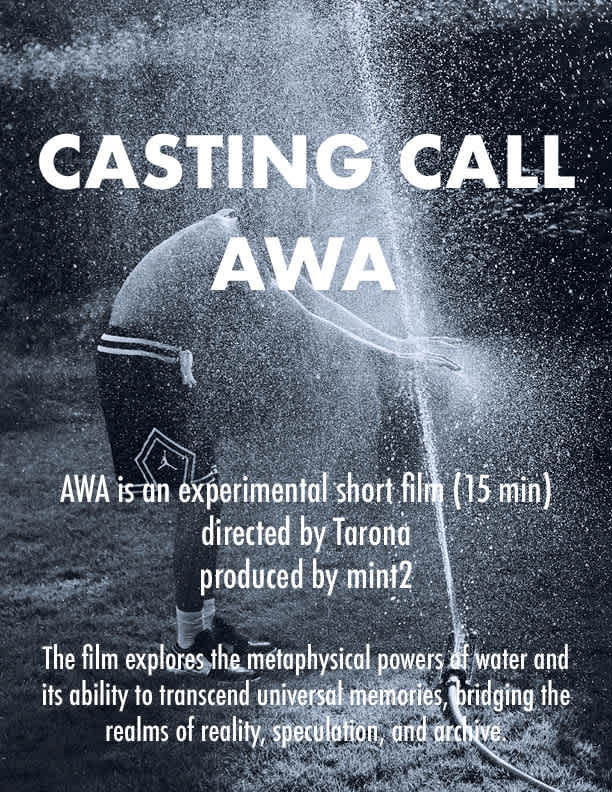 AWA Casting Call