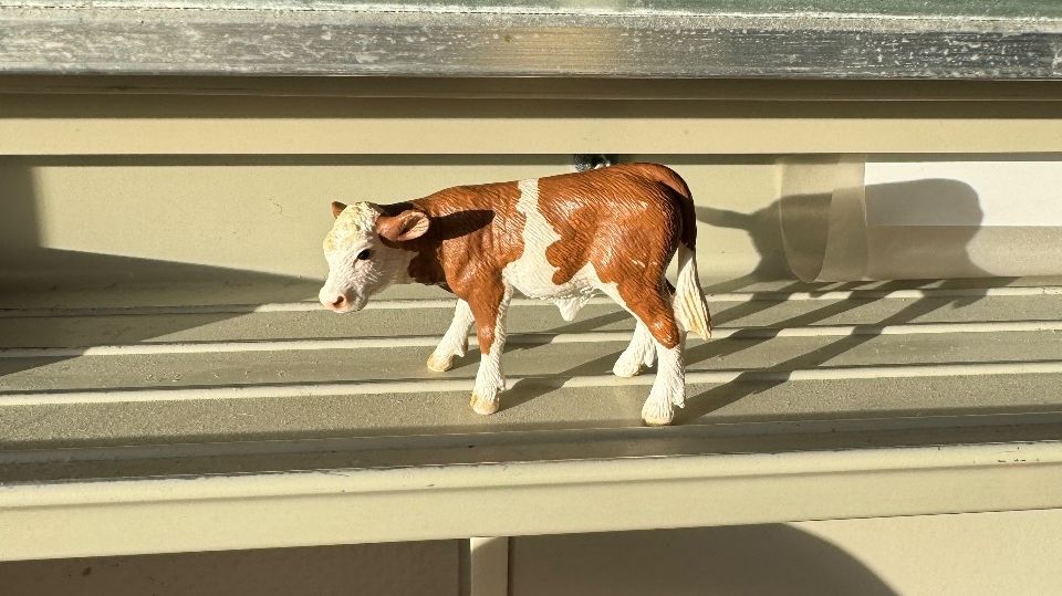 Paard van Flo Meijer