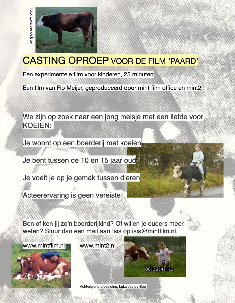 Casting Oproep Paard